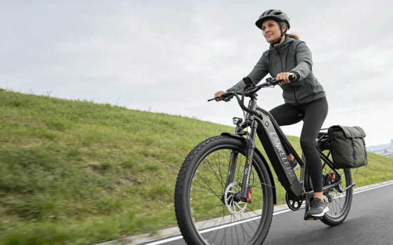 LANKELEISI RX600PRO Trekking-E-Bike