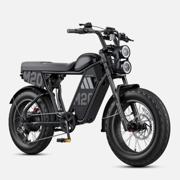ENGWE M20 3.0 electric bike